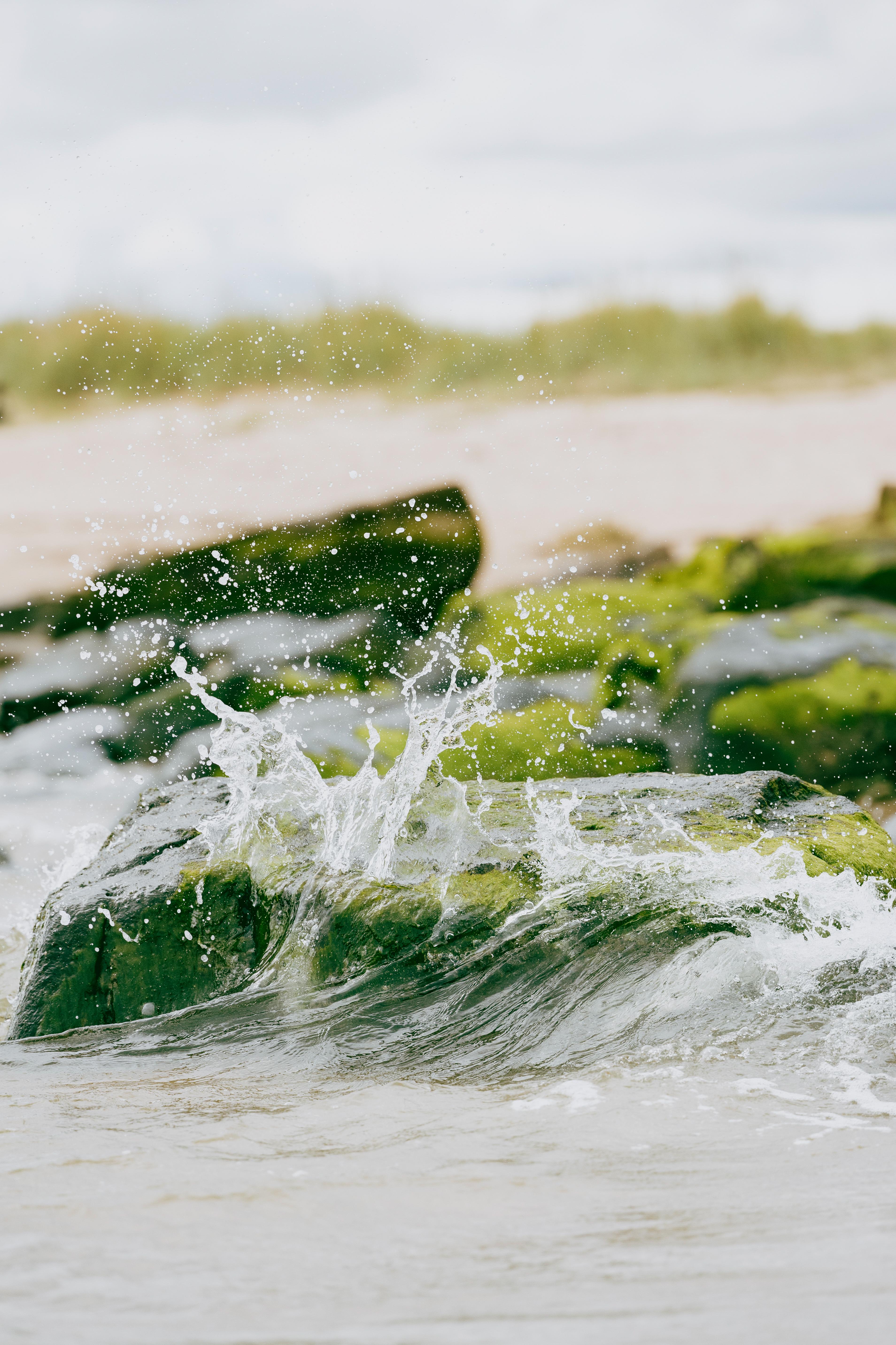 فندق Dornoch Station المظهر الخارجي الصورة Seaweed