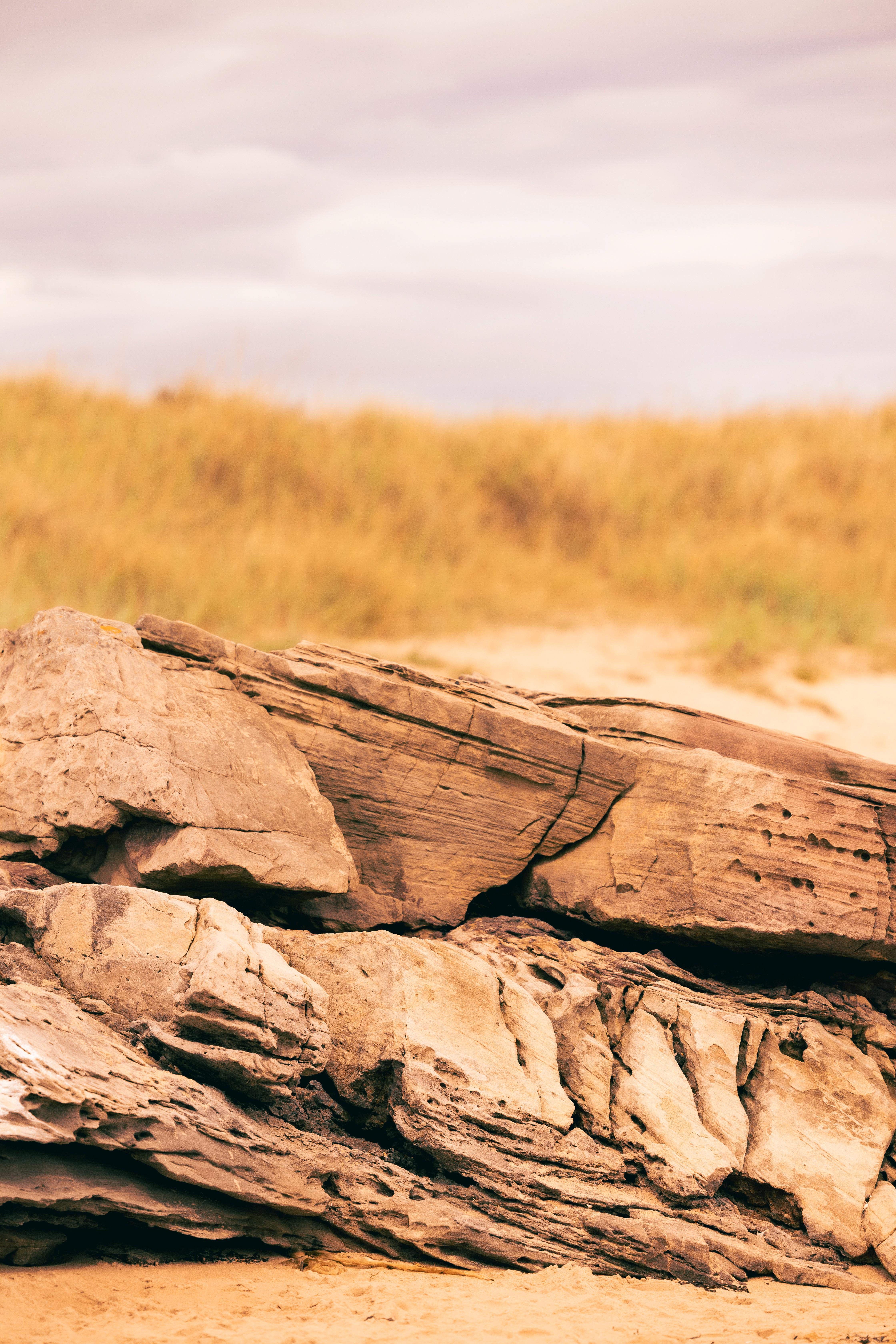 فندق Dornoch Station المظهر الخارجي الصورة The remains of a ship at the site of the 1905 shipwreck